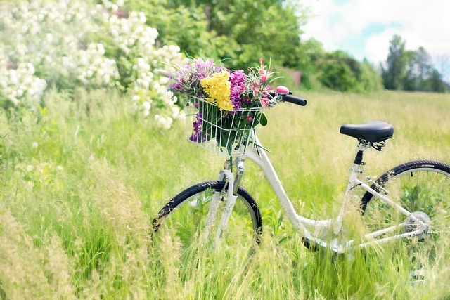 bicykel a kytica kvetou na lúke
